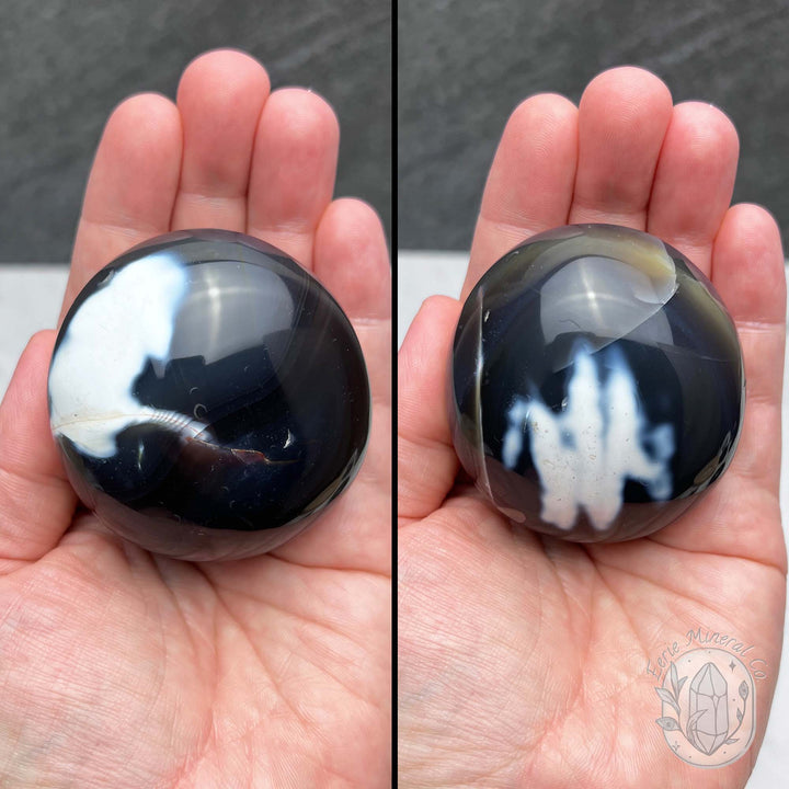 Polished Black and White Orca Agate Palmstones