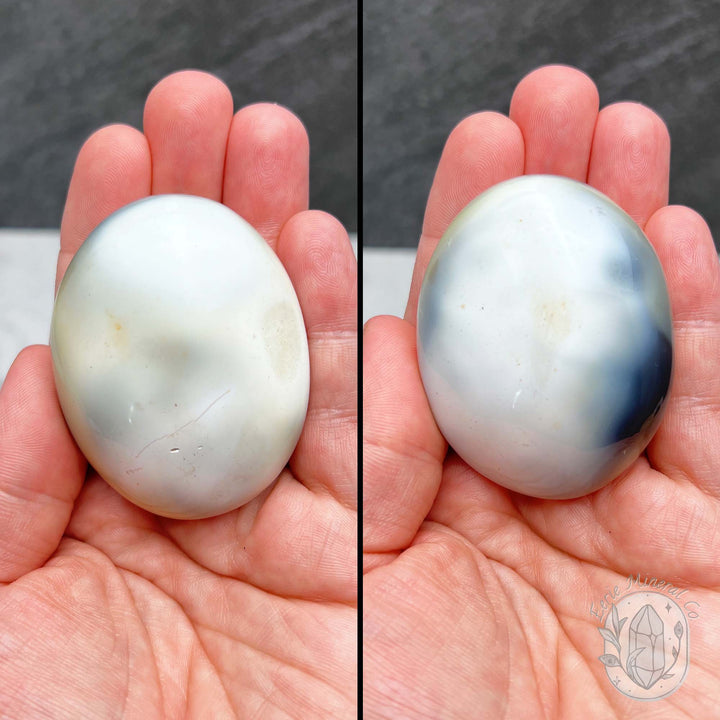 Polished Black and White Orca Agate Palmstones