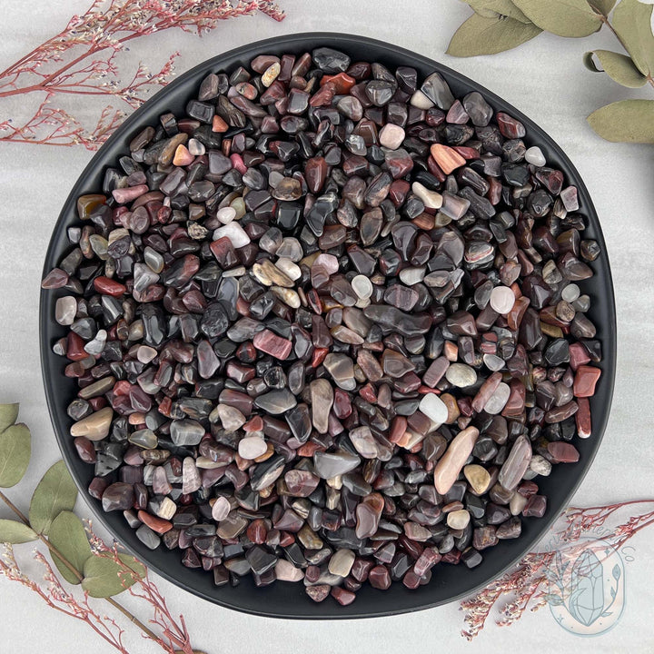 Polished Petrified Wood Stone Chips