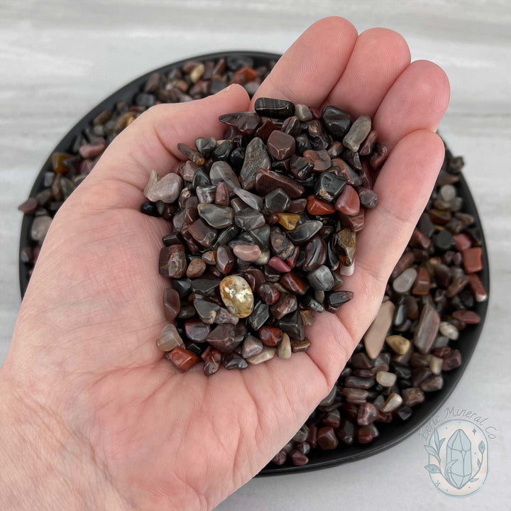 Polished Petrified Wood Stone Chips