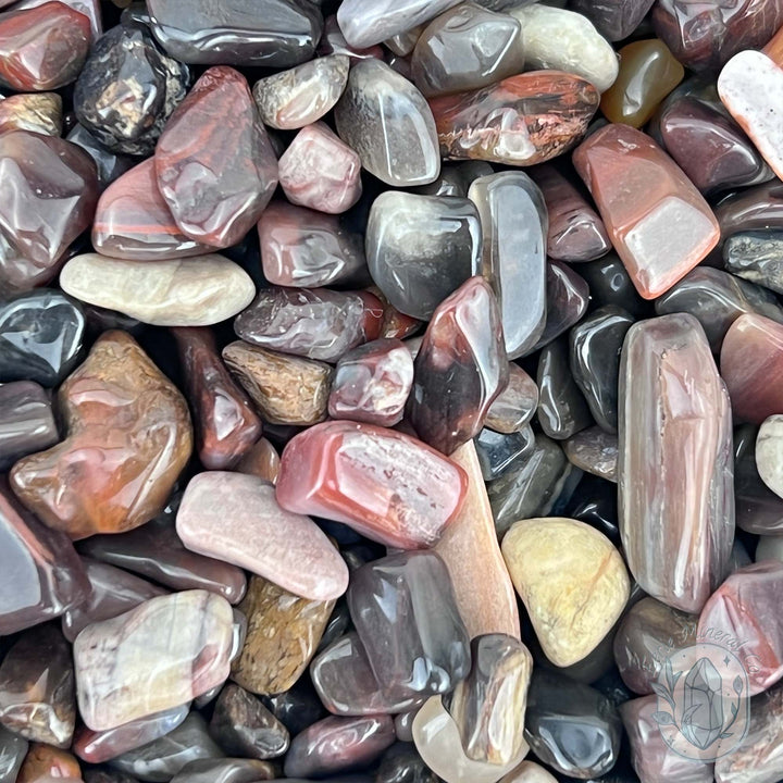 Polished Petrified Wood Stone Chips