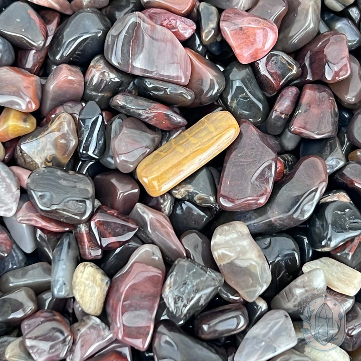 Polished Petrified Wood Stone Chips