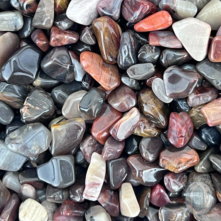 Polished Petrified Wood Stone Chips