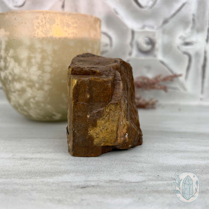 Petrified Wood Hedgehog Carving Specimen