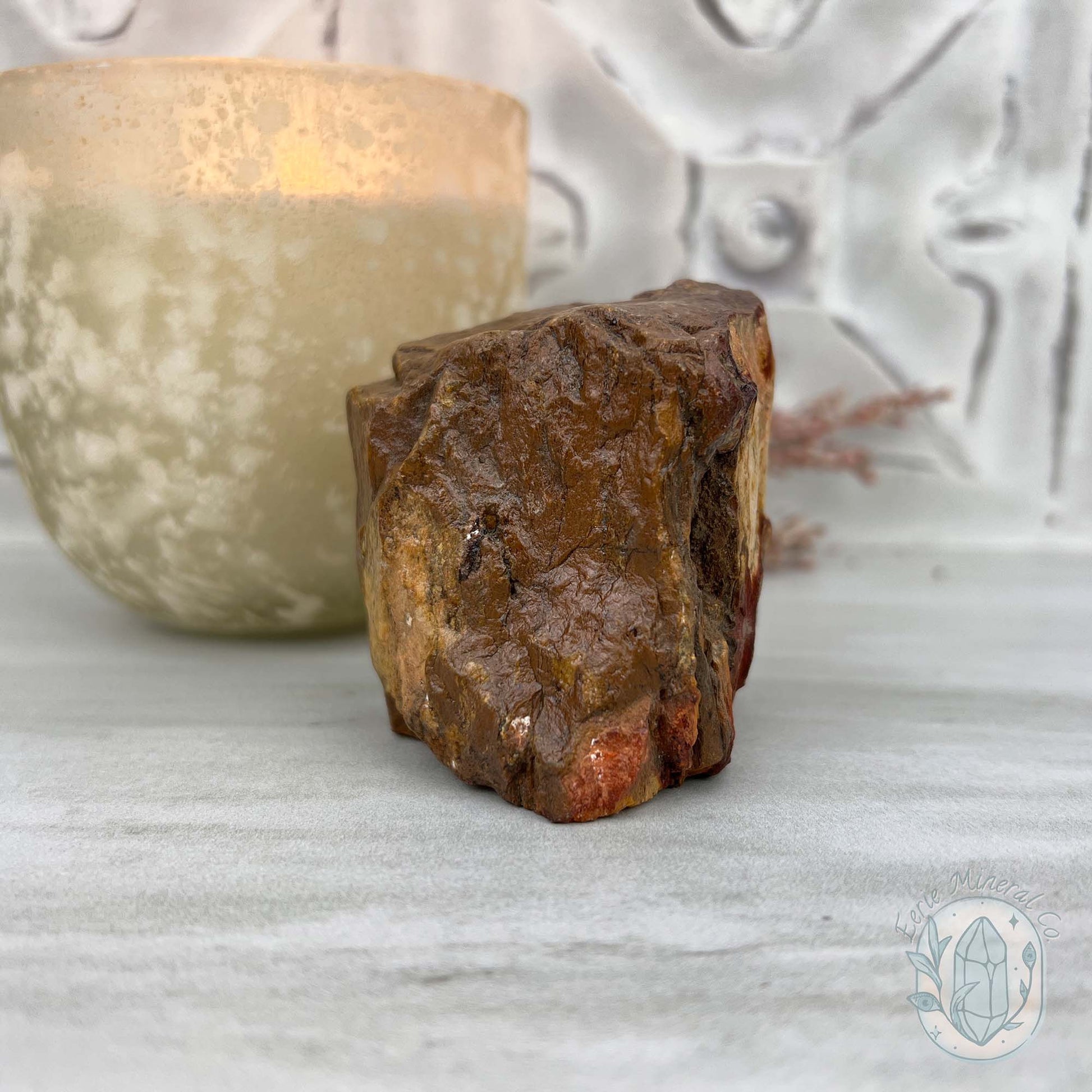 Petrified Wood Hedgehog Carving Specimen