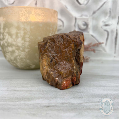 Petrified Wood Hedgehog Carving Specimen