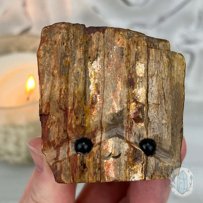 Petrified Wood Hedgehog Carving Specimen