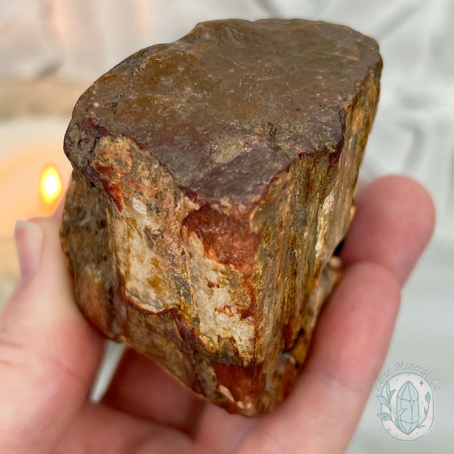 Petrified Wood Hedgehog Carving Specimen