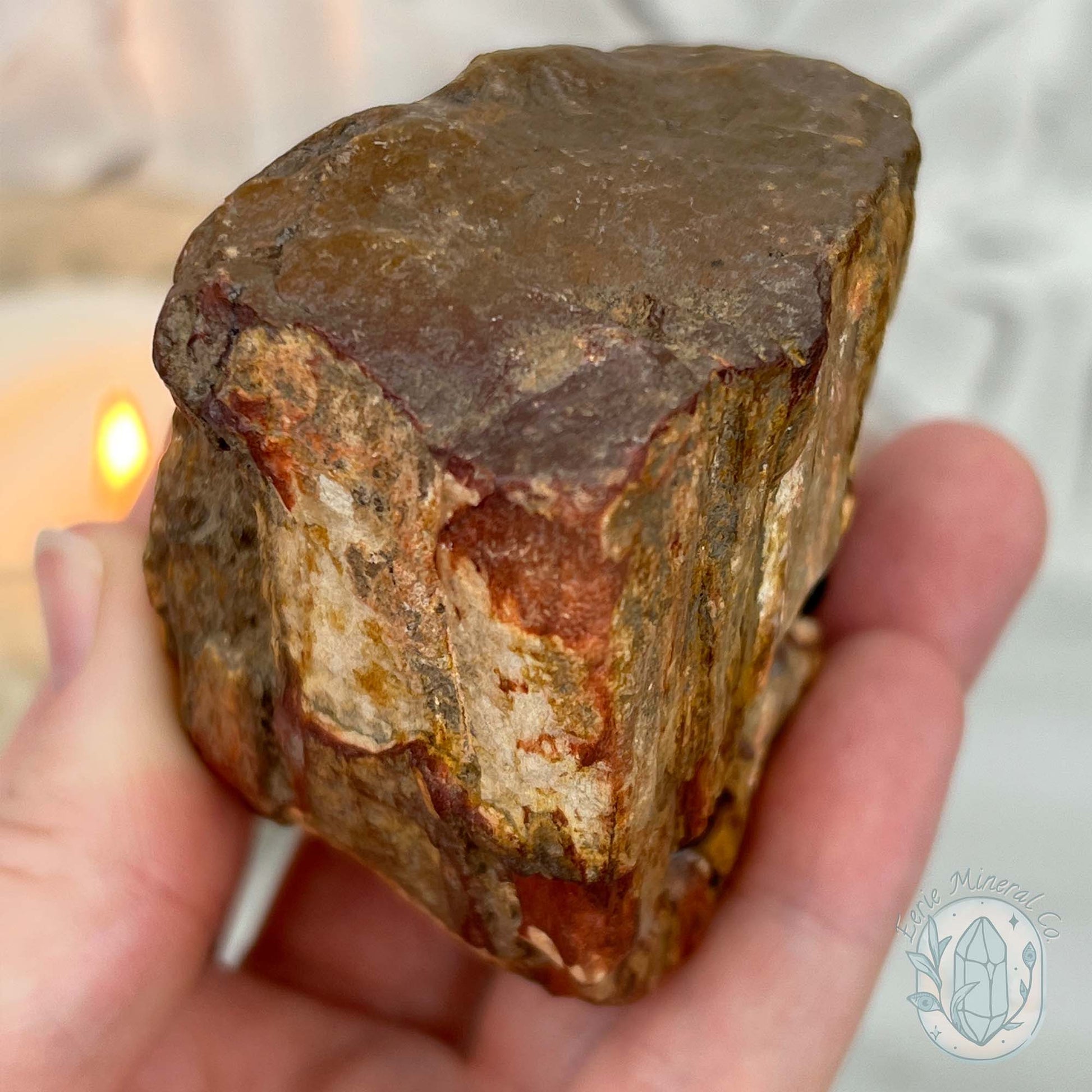 Petrified Wood Hedgehog Carving Specimen