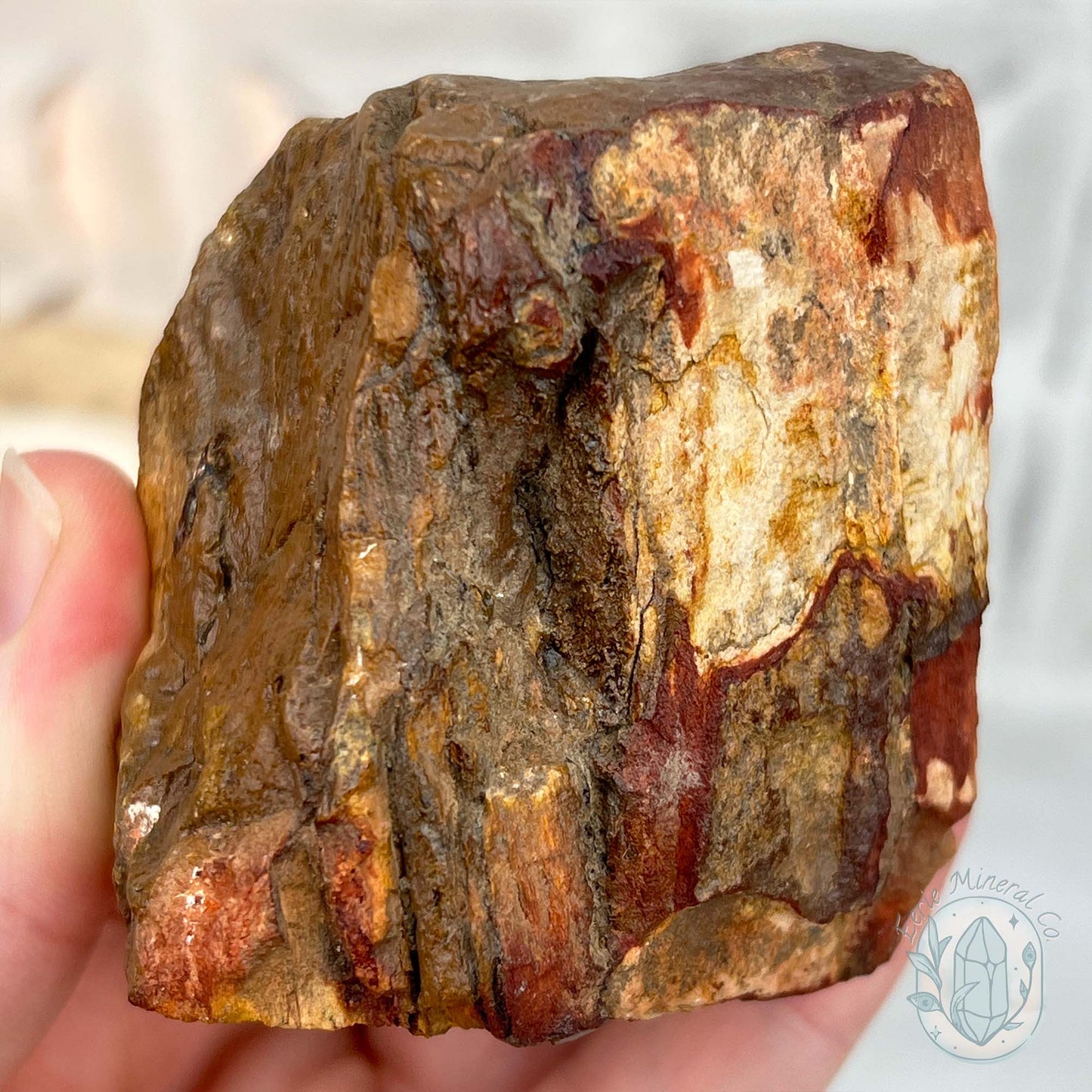 Petrified Wood Hedgehog Carving Specimen
