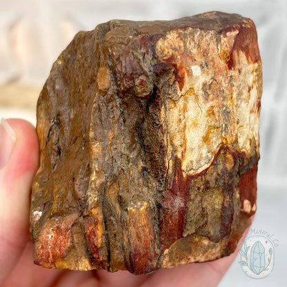 Petrified Wood Hedgehog Carving Specimen