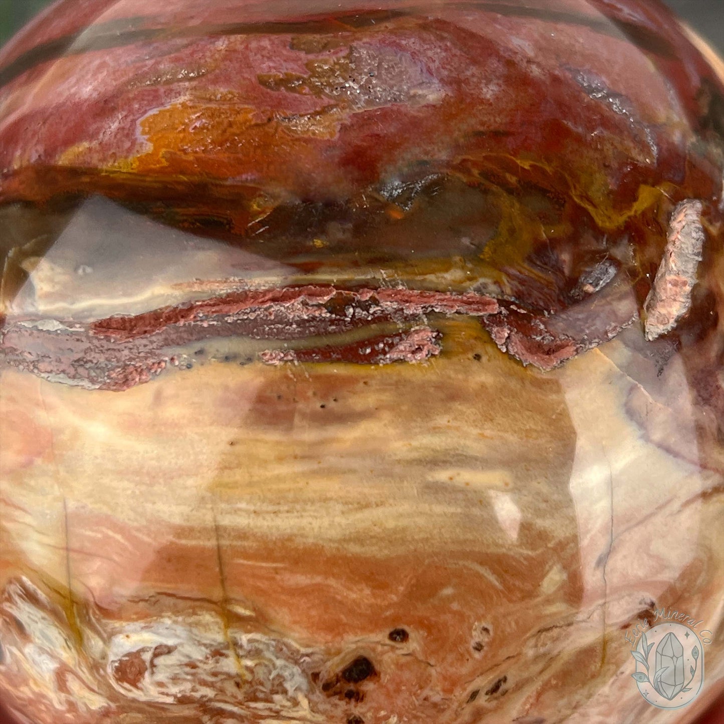 98mm Polished Petrified Fossil Wood Sphere with Druzy Pockets