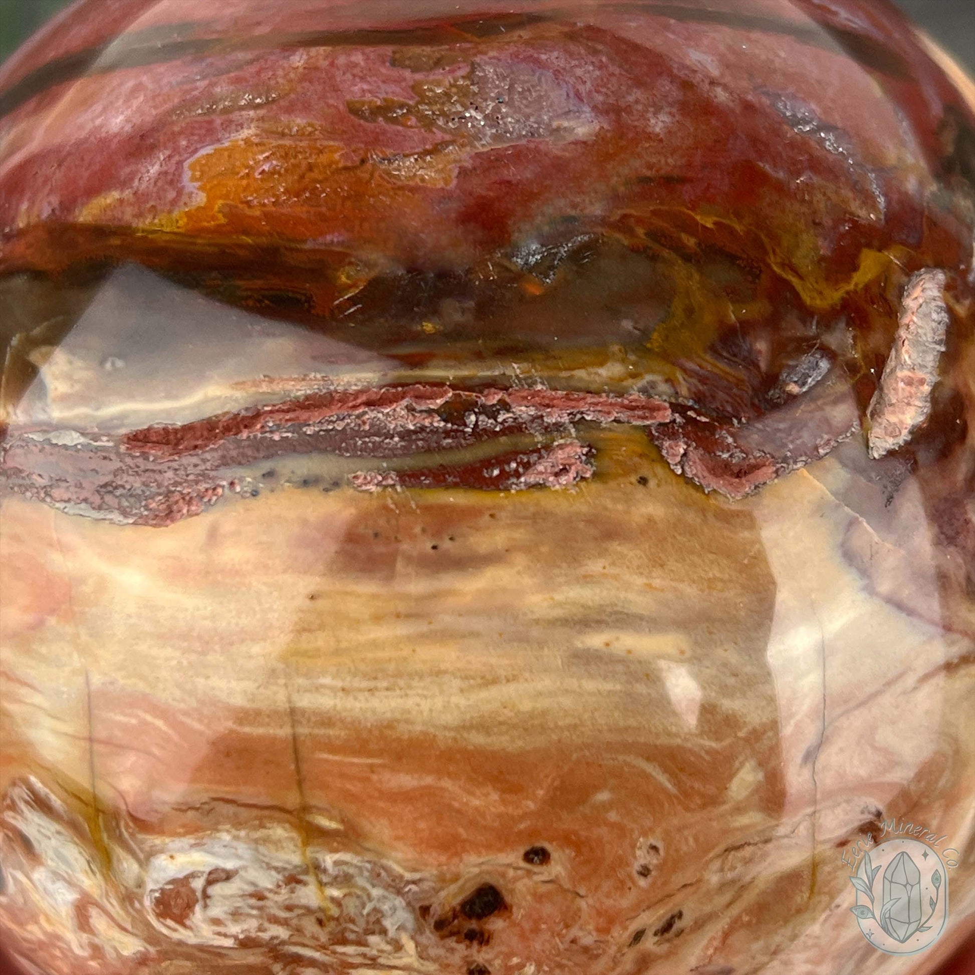 98mm Polished Petrified Fossil Wood Sphere with Druzy Pockets