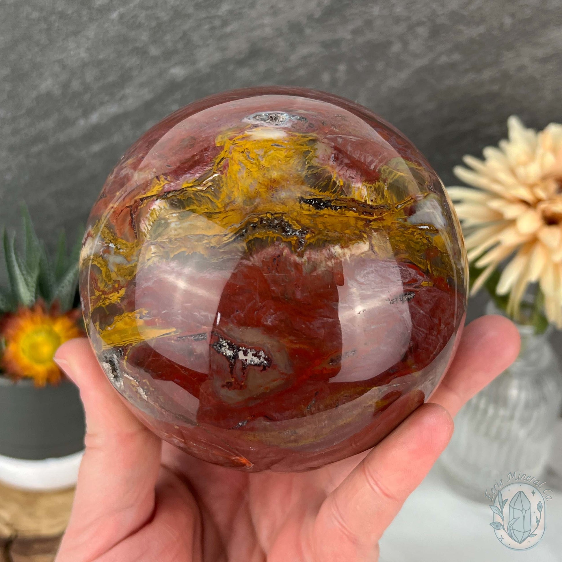 98mm Polished Petrified Fossil Wood Sphere with Druzy Pockets