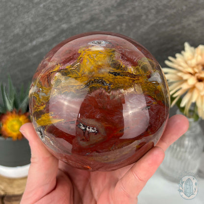 98mm Polished Petrified Fossil Wood Sphere with Druzy Pockets