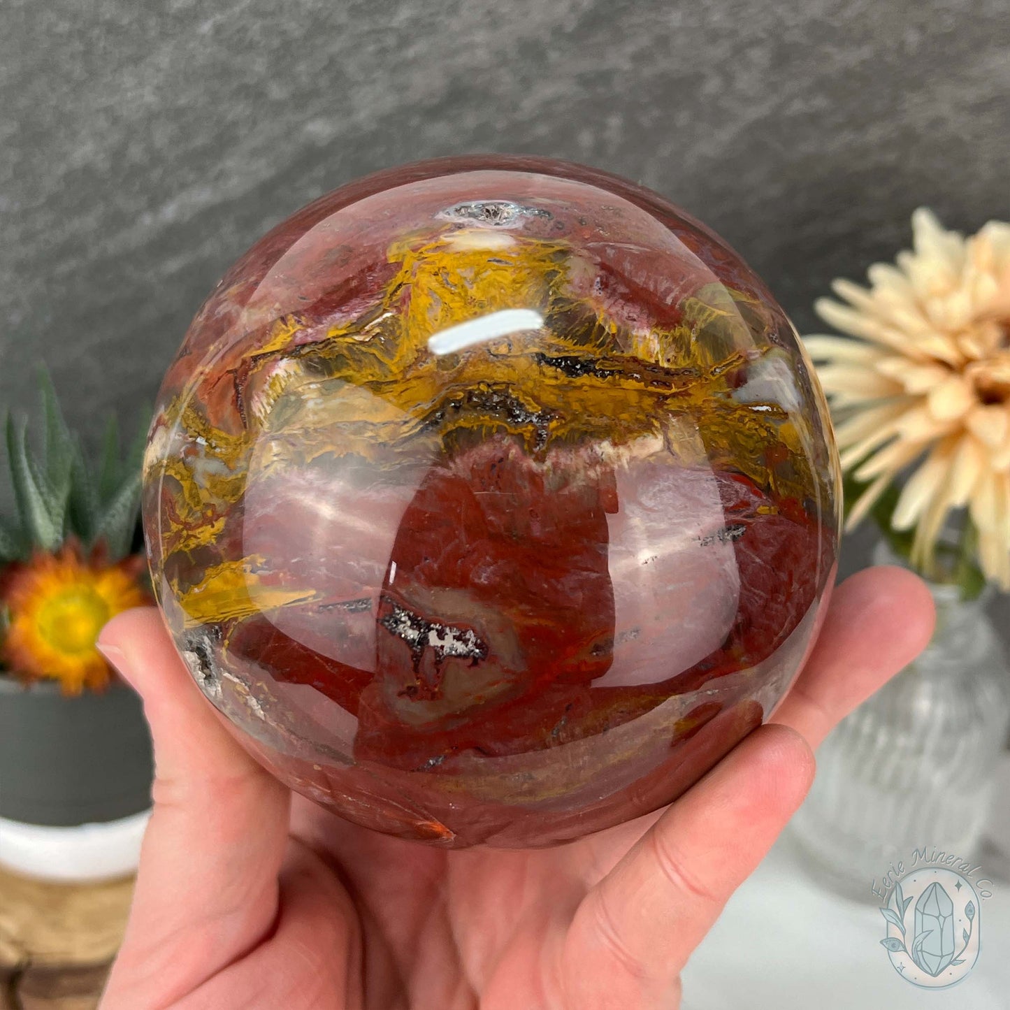 98mm Polished Petrified Fossil Wood Sphere with Druzy Pockets