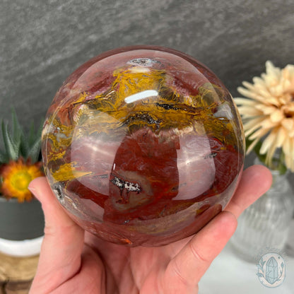 98mm Polished Petrified Fossil Wood Sphere with Druzy Pockets