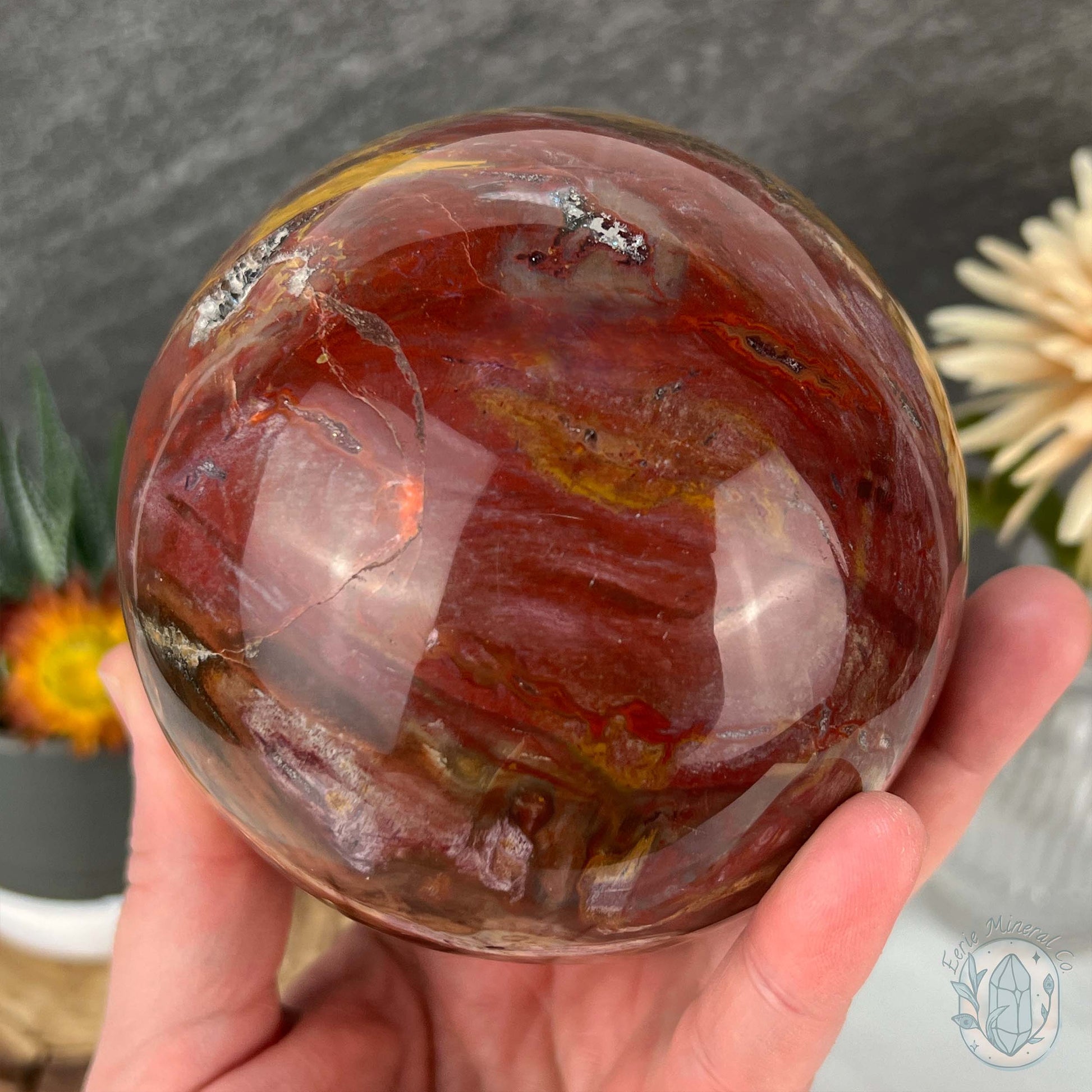 98mm Polished Petrified Fossil Wood Sphere with Druzy Pockets