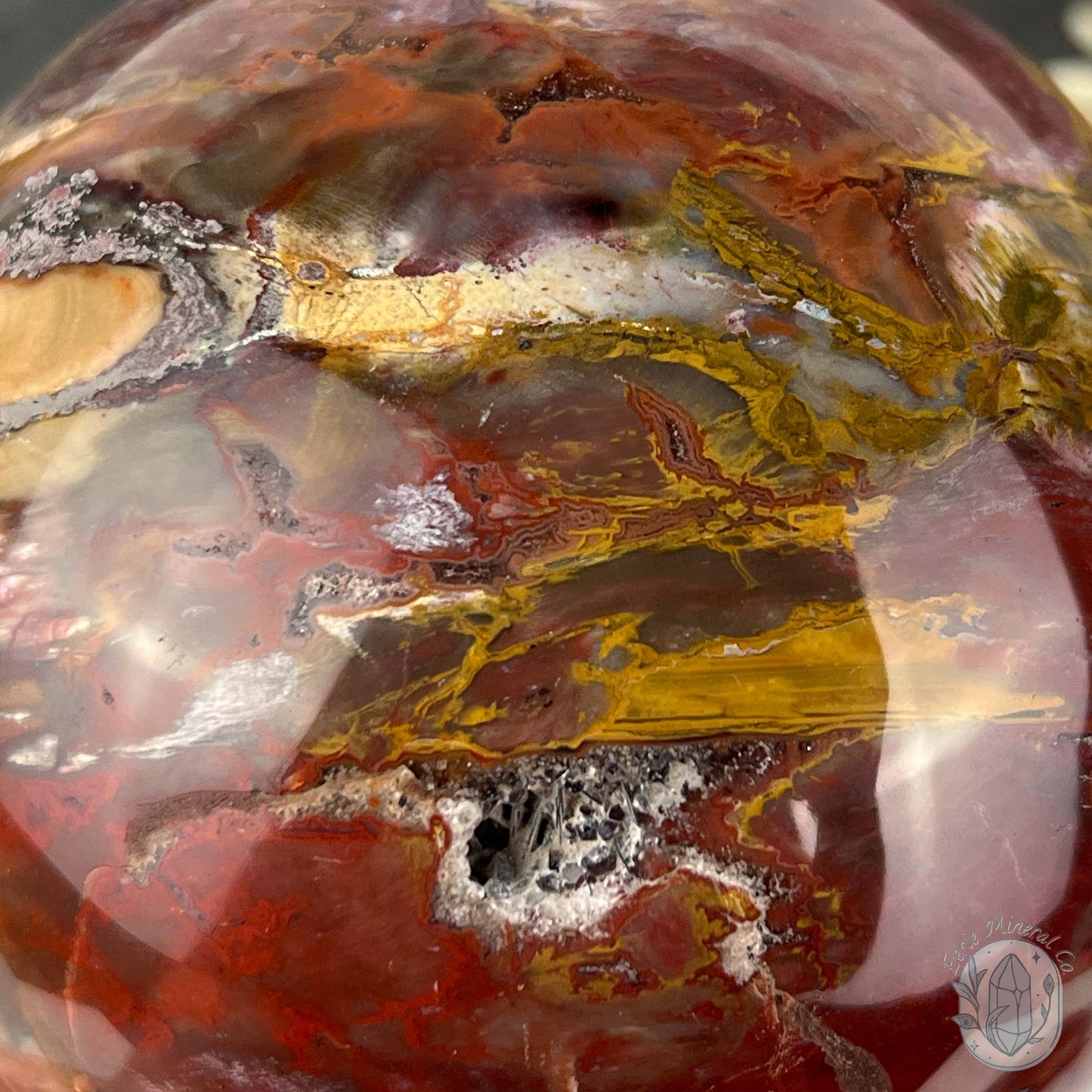 98mm Polished Petrified Fossil Wood Sphere with Druzy Pockets