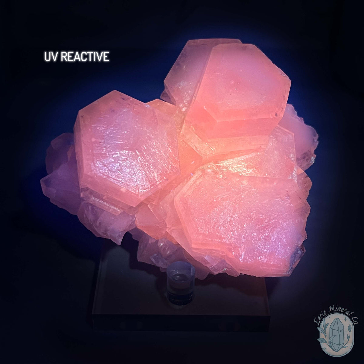 Poker Chip UV Reactive Calcite Specimen with Stand