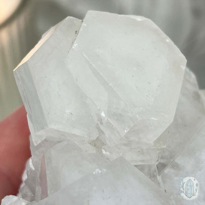 Poker Chip UV Reactive Calcite Specimen with Stand