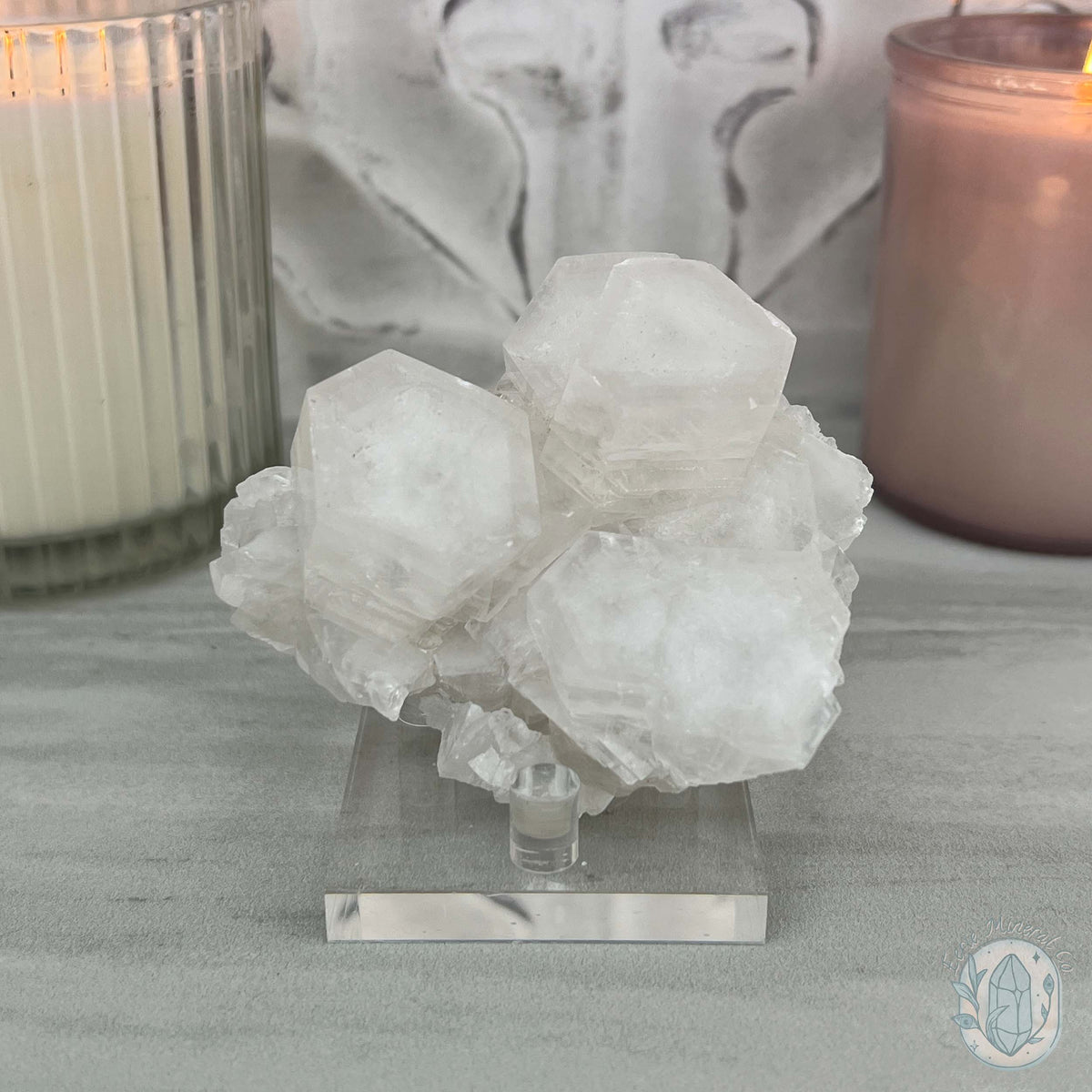 Poker Chip UV Reactive Calcite Specimen with Stand