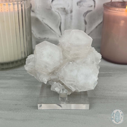 Poker Chip UV Reactive Calcite Specimen with Stand