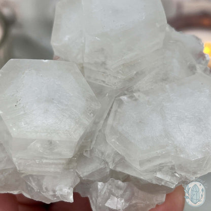 Poker Chip UV Reactive Calcite Specimen with Stand