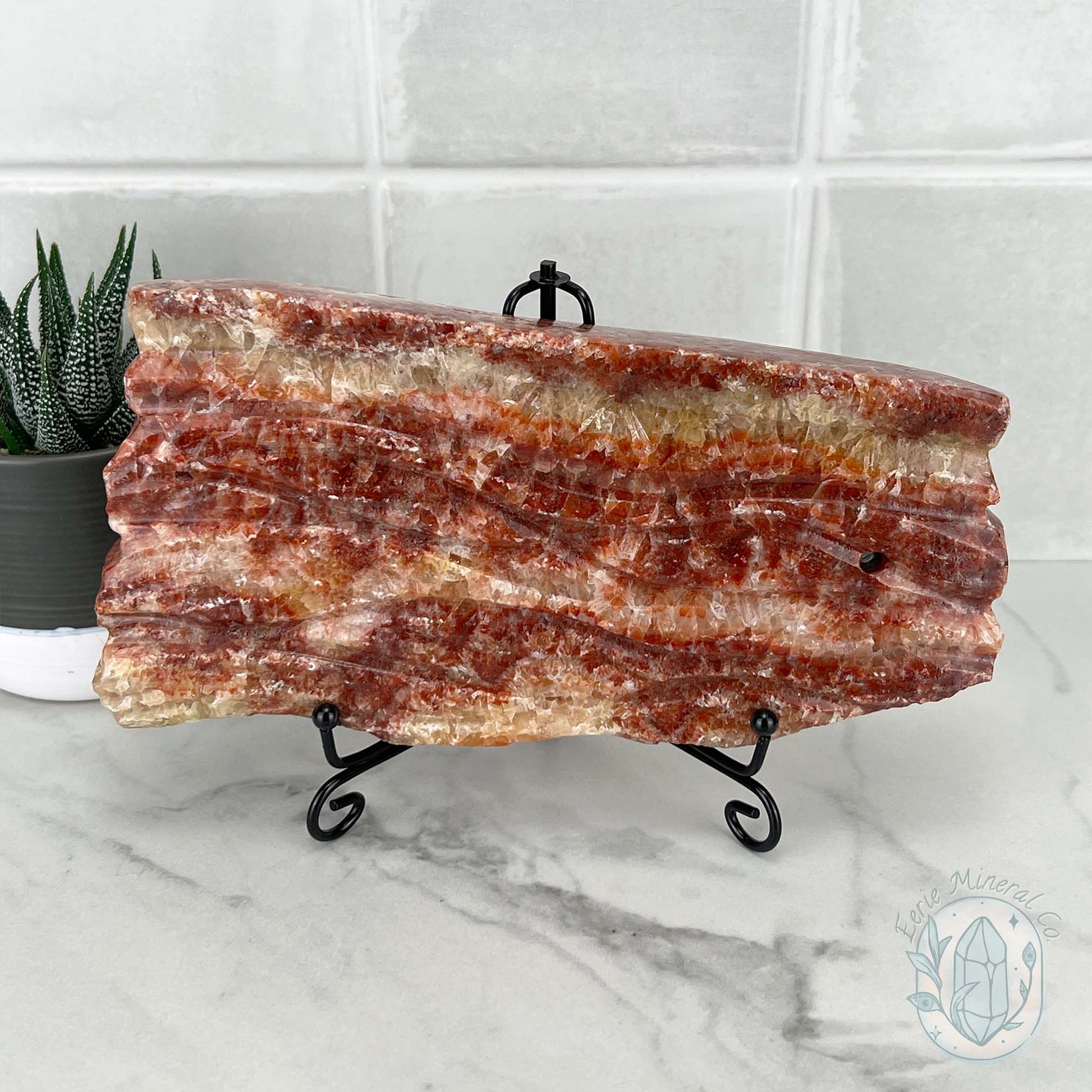 Polished Pork Stone (Red Banded Calcite) Specimen Slab