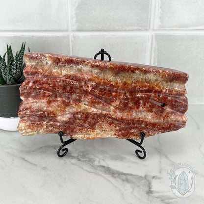 Polished Pork Stone (Red Banded Calcite) Specimen Slab