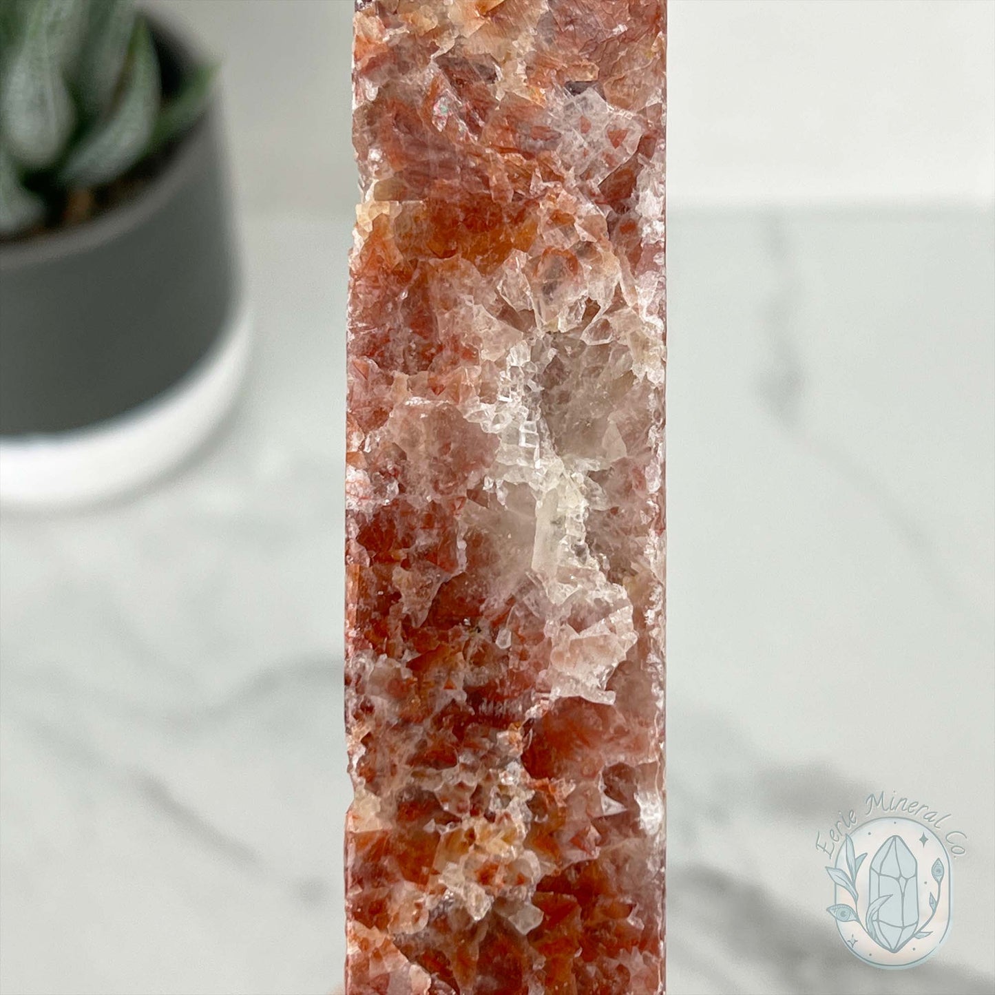 Polished Pork Stone (Red Banded Calcite) Specimen Slab