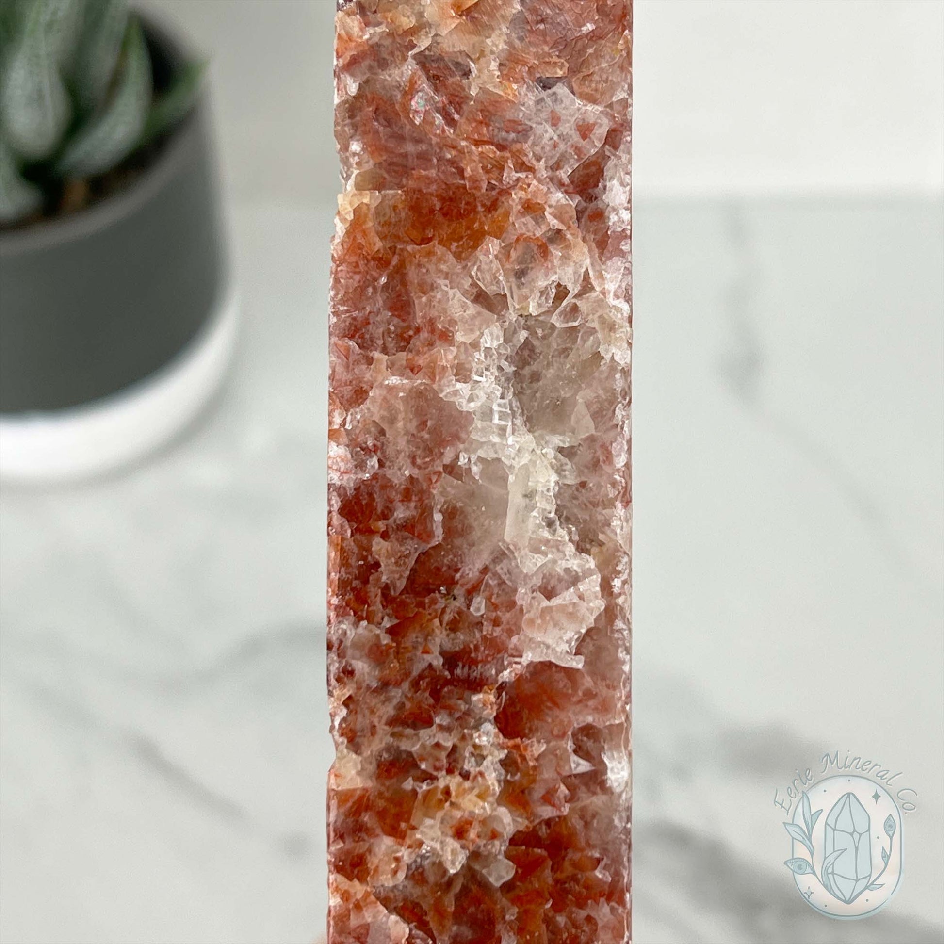 Polished Pork Stone (Red Banded Calcite) Specimen Slab