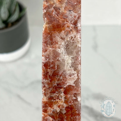 Polished Pork Stone (Red Banded Calcite) Specimen Slab