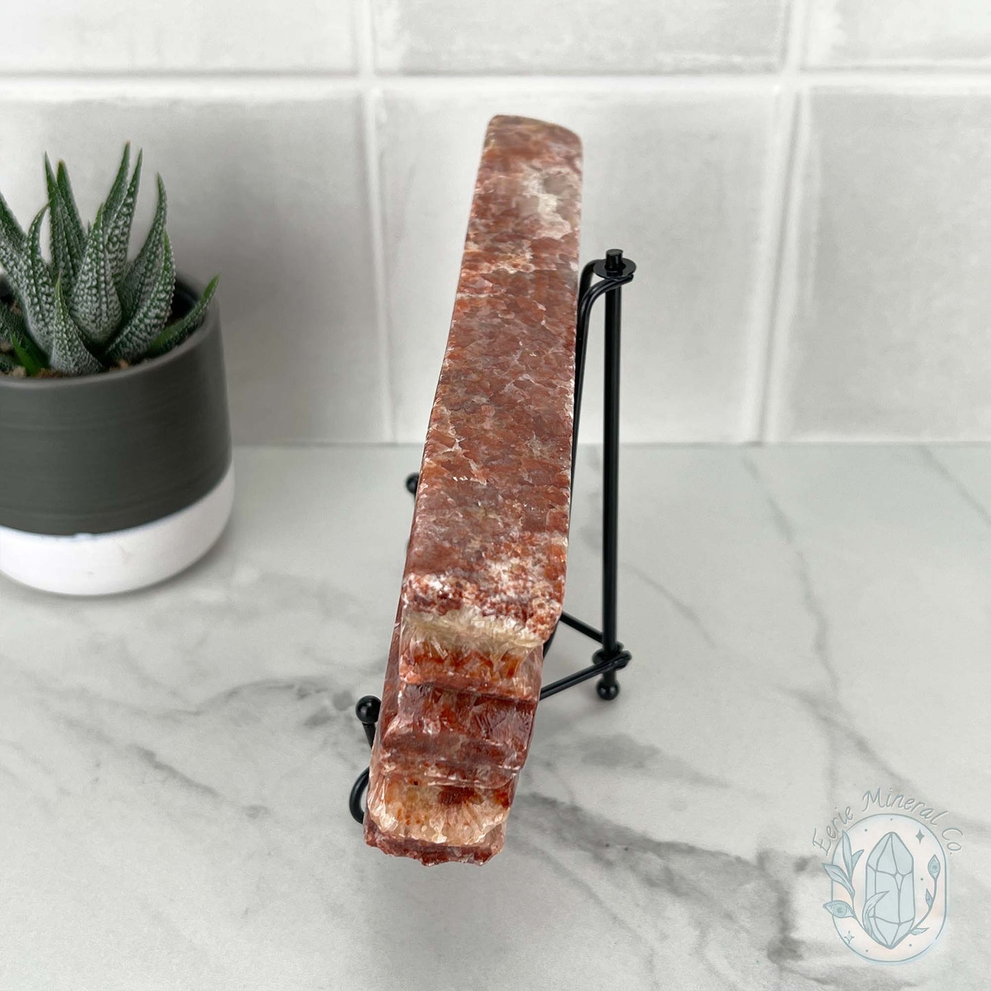 Polished Pork Stone (Red Banded Calcite) Specimen Slab