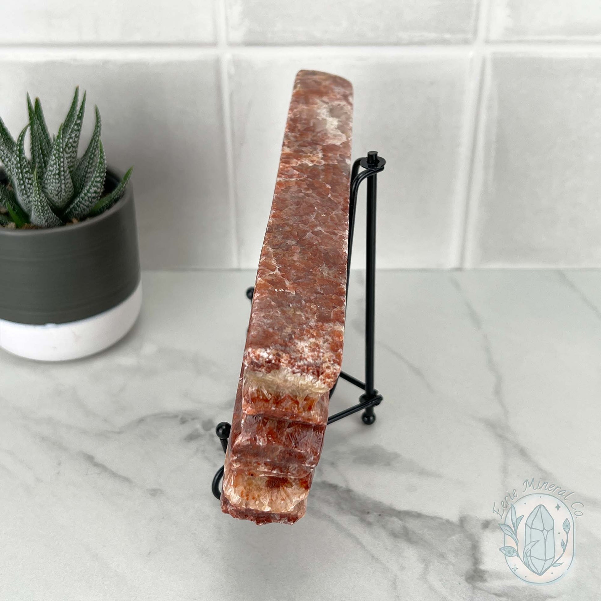 Polished Pork Stone (Red Banded Calcite) Specimen Slab