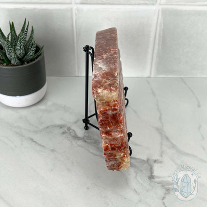 Polished Pork Stone (Red Banded Calcite) Specimen Slab