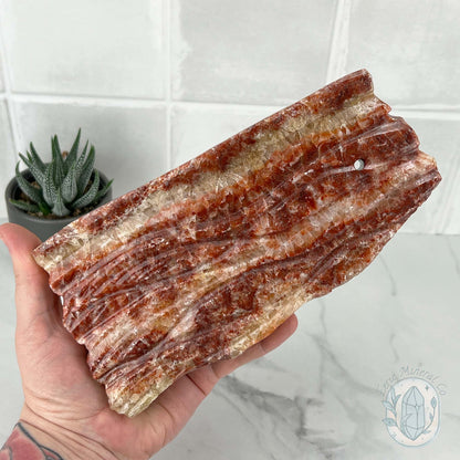 Polished Pork Stone (Red Banded Calcite) Specimen Slab