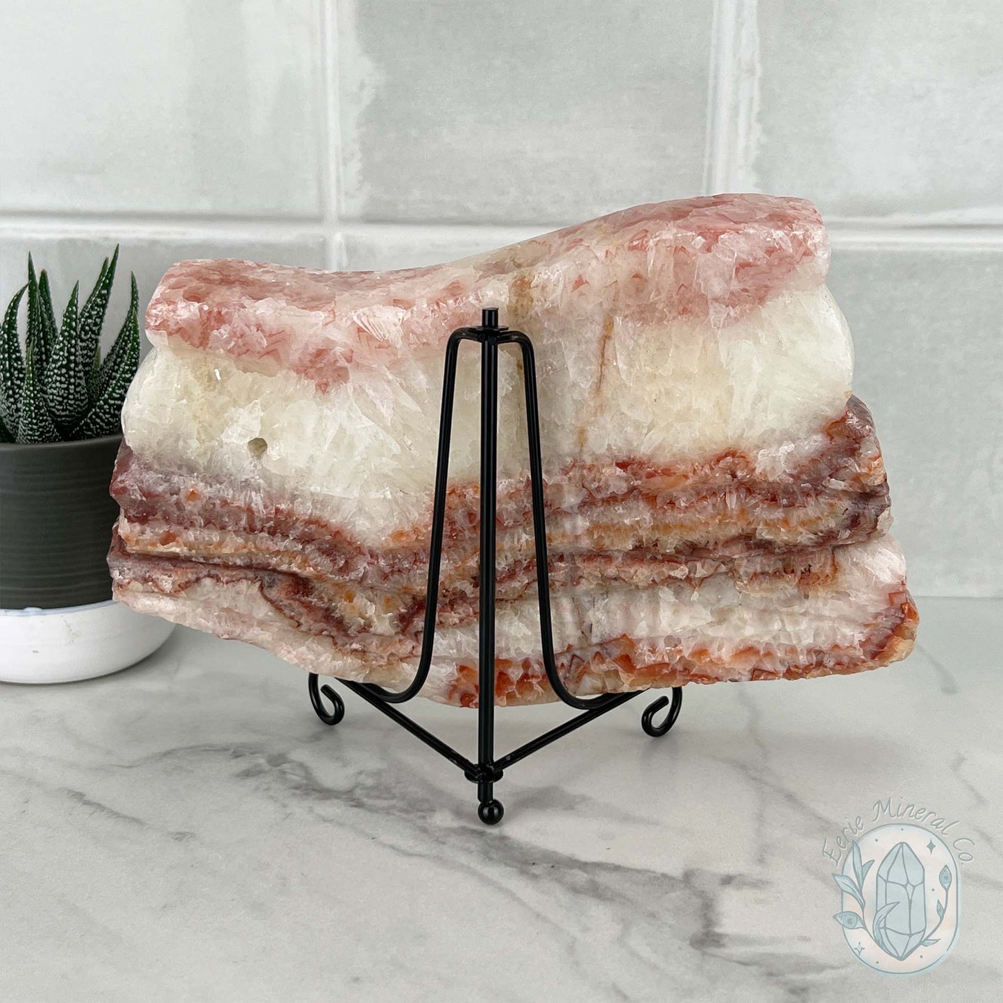 Polished Pork Stone (Red Banded Calcite) Specimen Slab