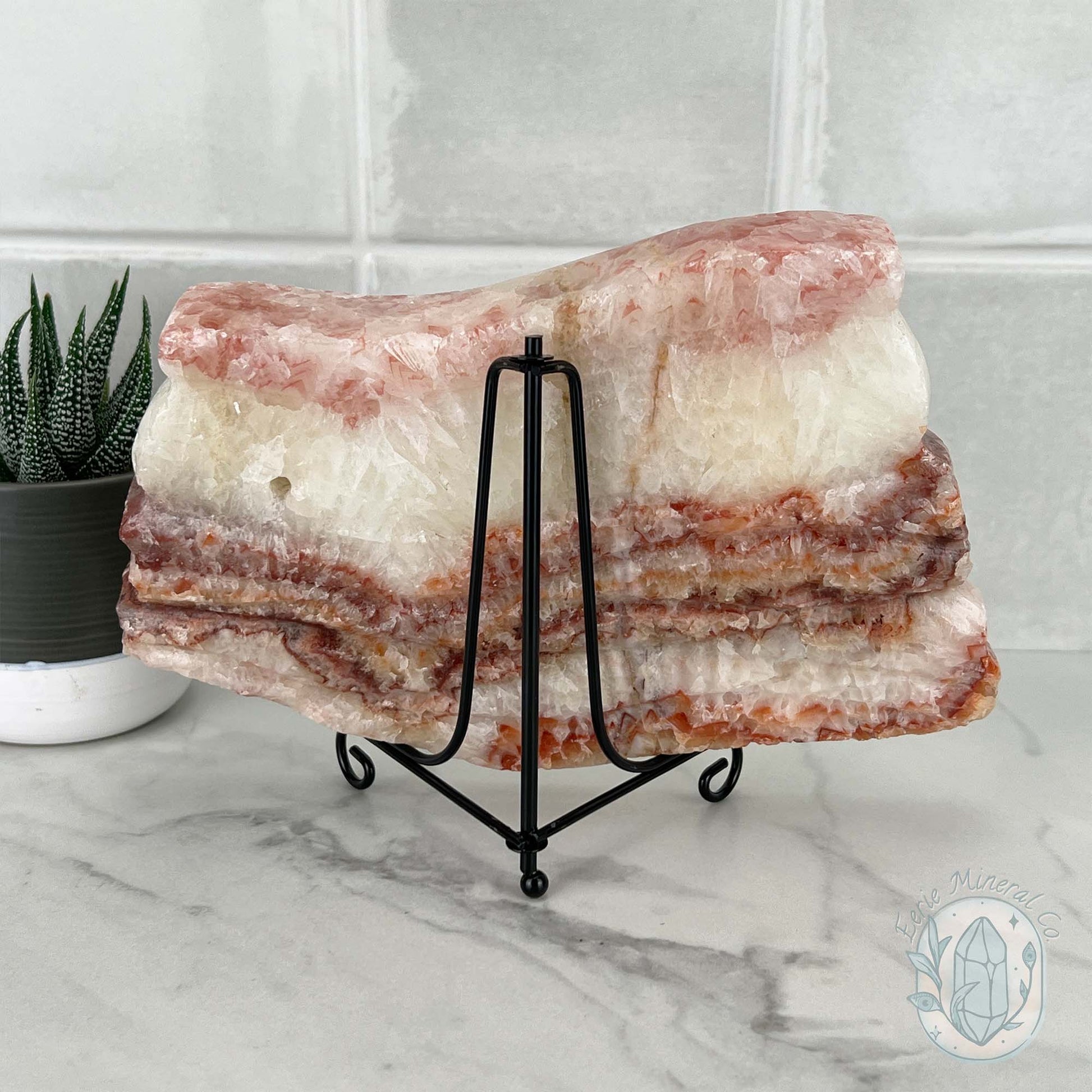 Polished Pork Stone (Red Banded Calcite) Specimen Slab