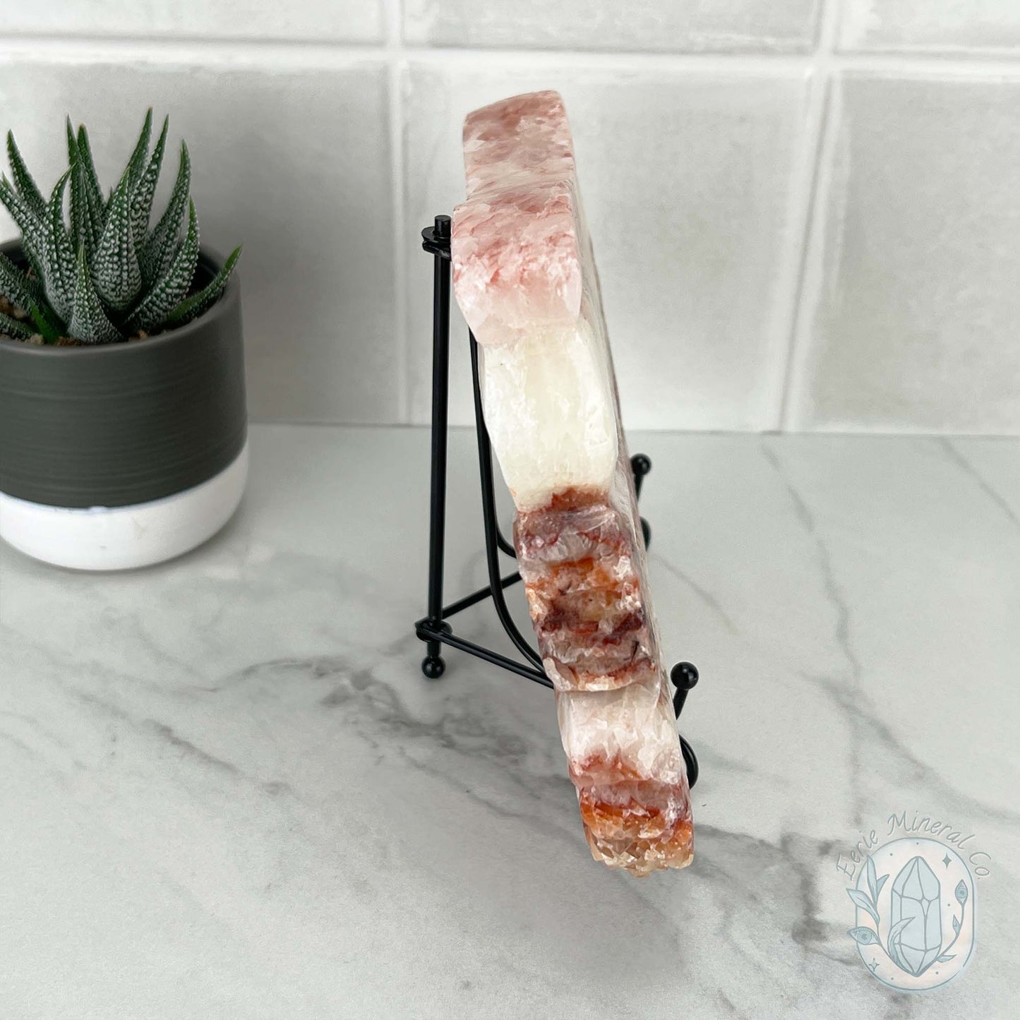 Polished Pork Stone (Red Banded Calcite) Specimen Slab