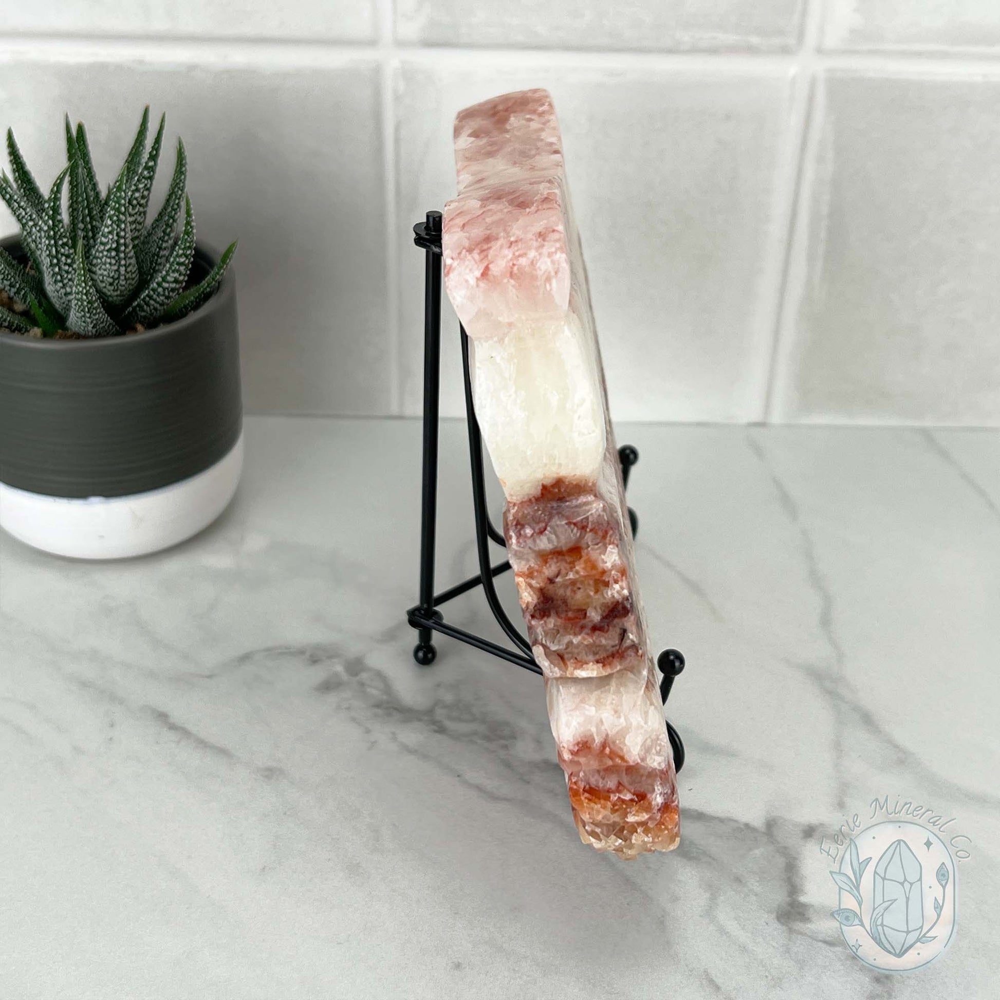 Polished Pork Stone (Red Banded Calcite) Specimen Slab