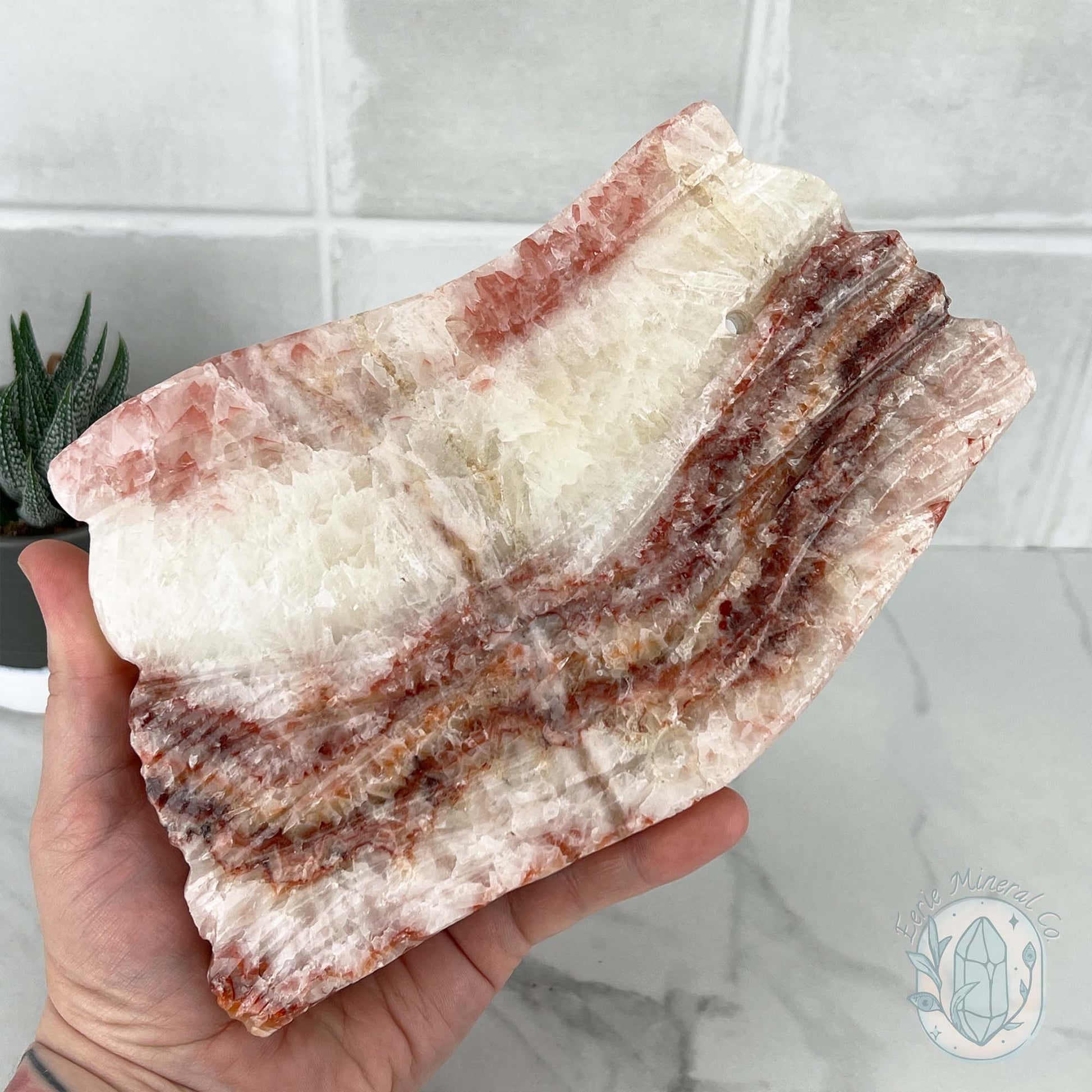 Polished Pork Stone (Red Banded Calcite) Specimen Slab