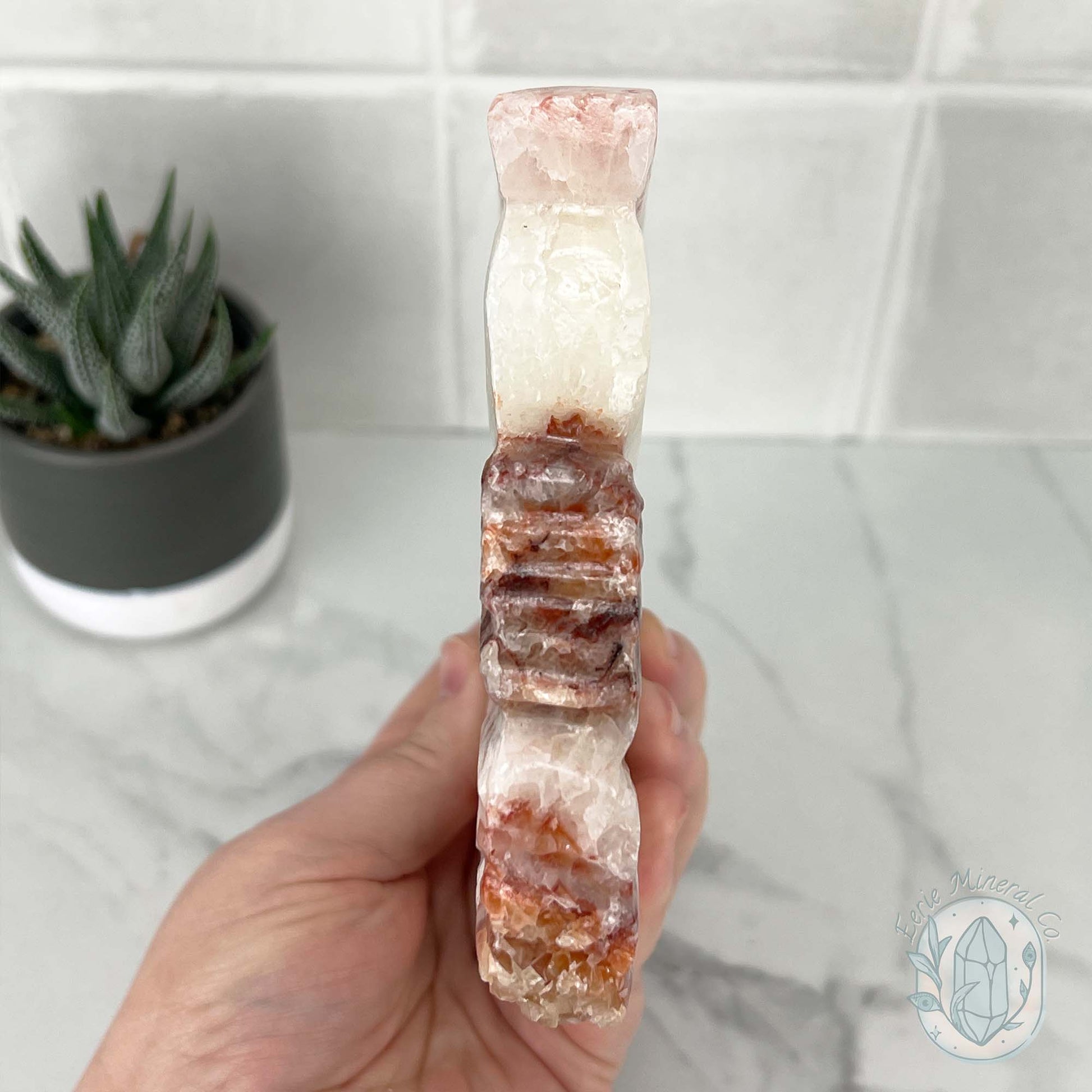 Polished Pork Stone (Red Banded Calcite) Specimen Slab