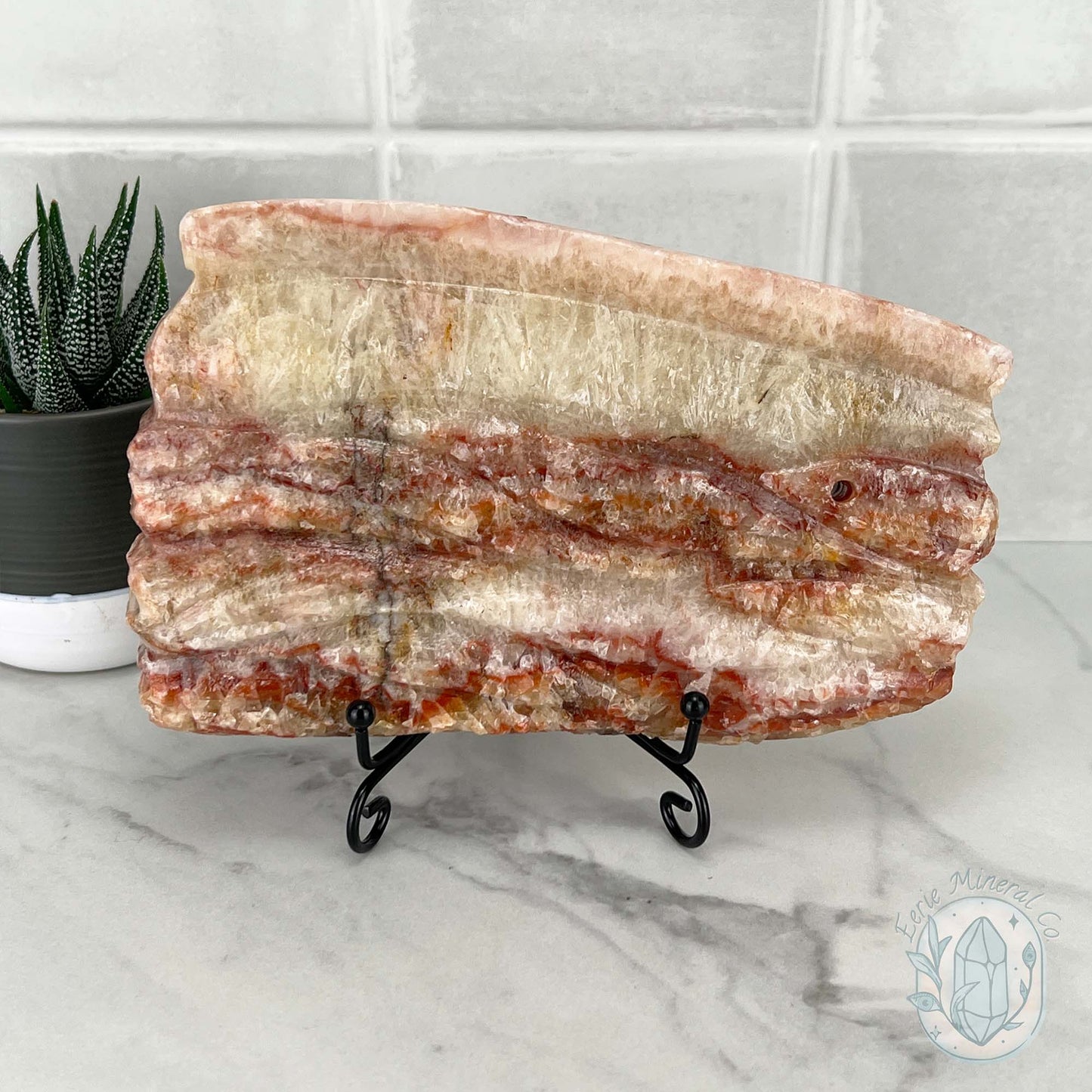 Polished Pork Stone (Red Banded Calcite) Specimen Slab