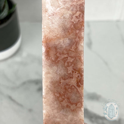 Polished Pork Stone (Red Banded Calcite) Specimen Slab