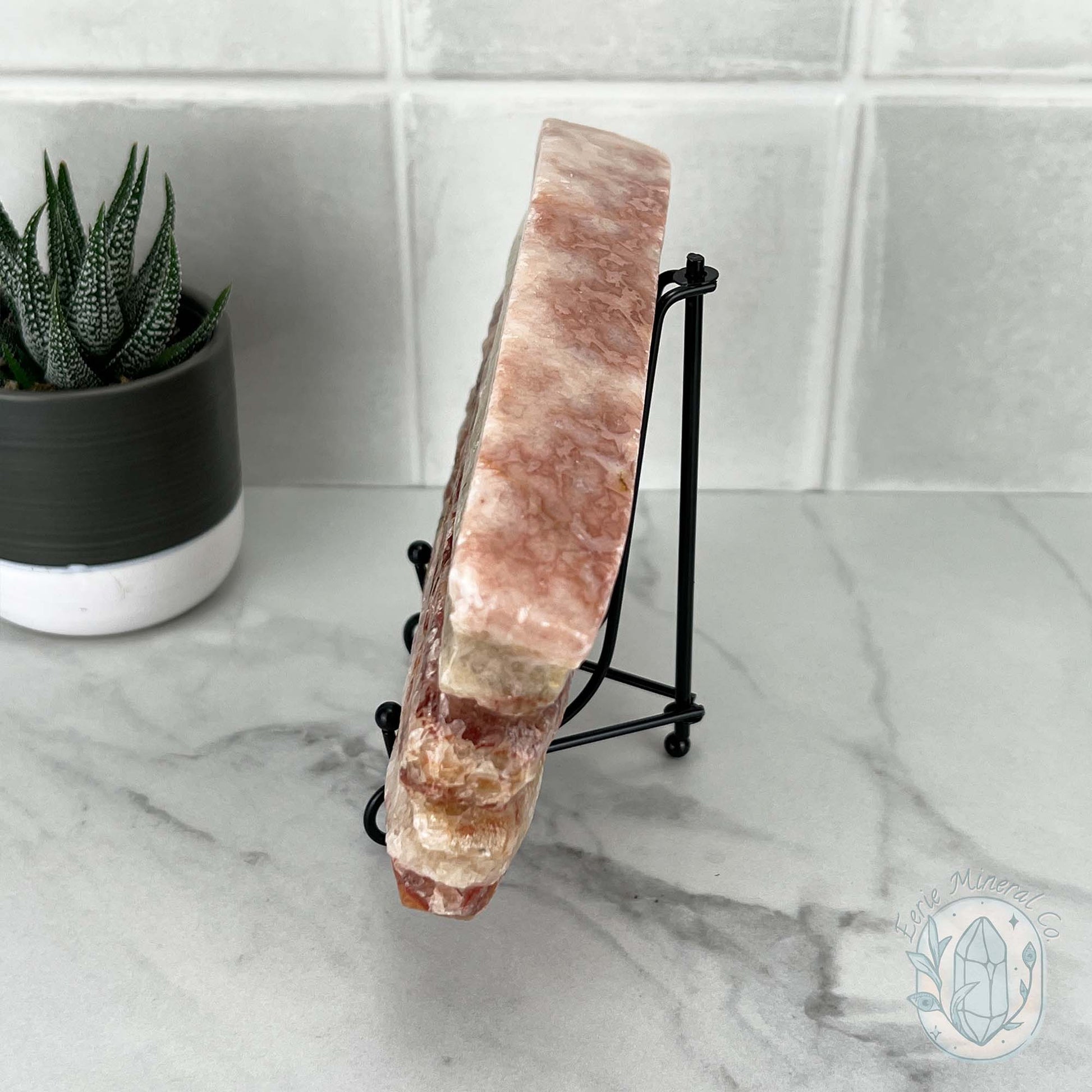 Polished Pork Stone (Red Banded Calcite) Specimen Slab