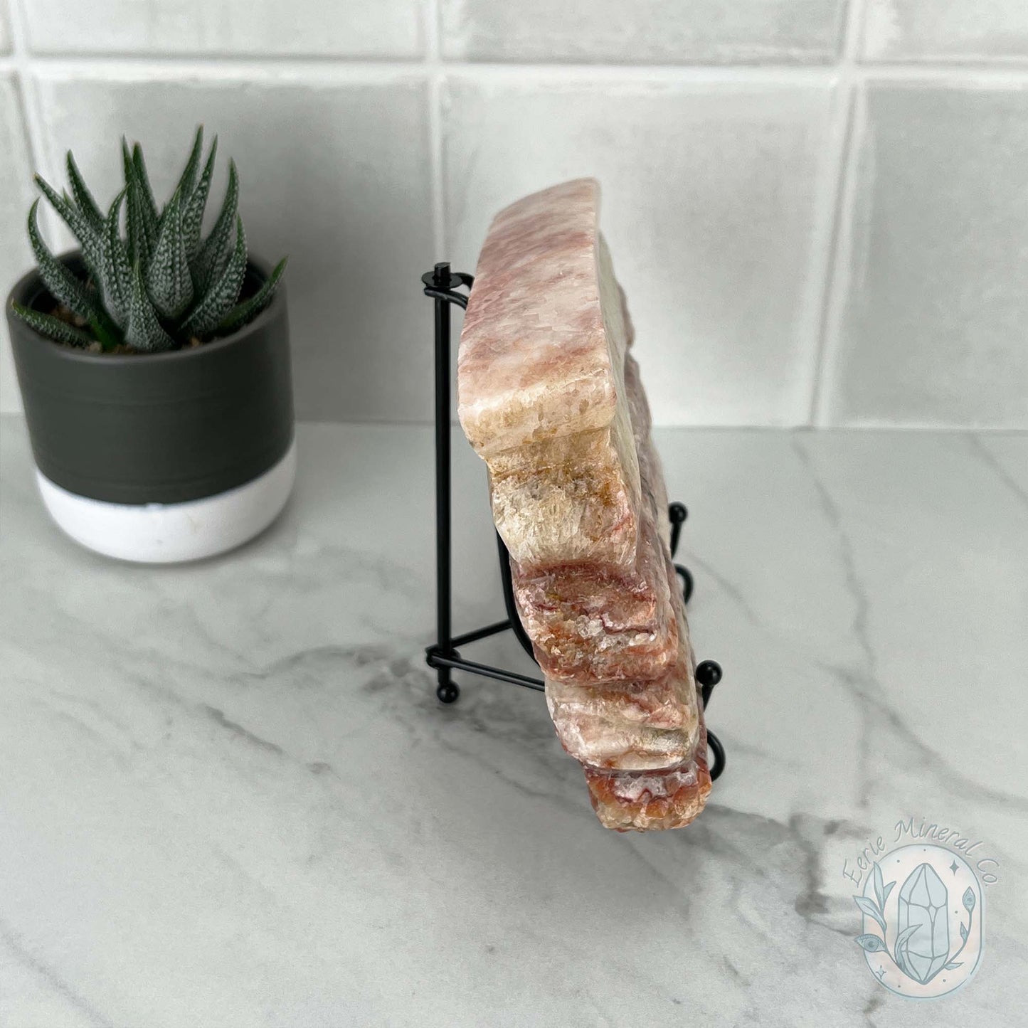 Polished Pork Stone (Red Banded Calcite) Specimen Slab