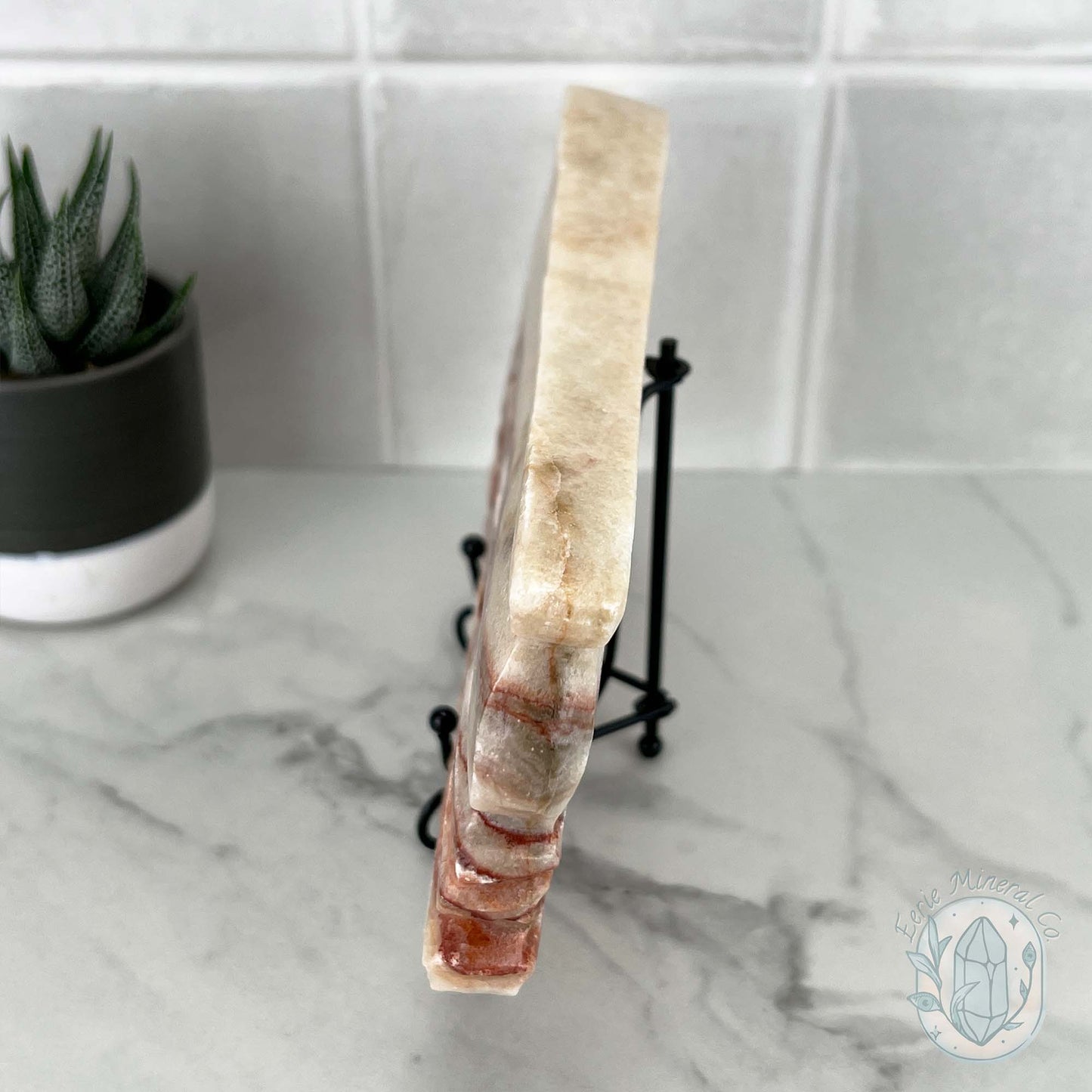 Polished Pork Stone (Red Banded Calcite) Specimen Slab