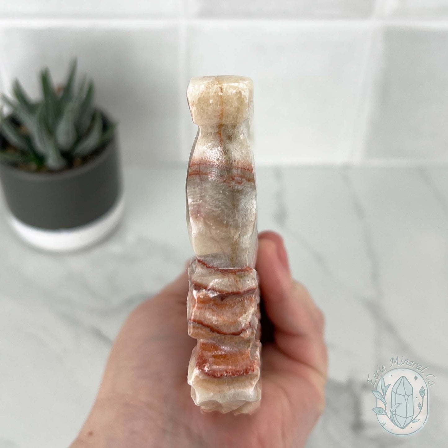 Polished Pork Stone (Red Banded Calcite) Specimen Slab