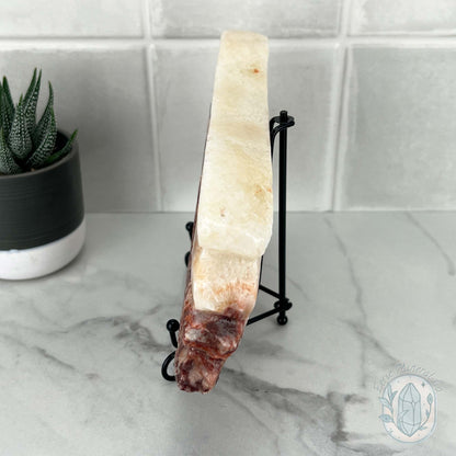 Polished Pork Stone (Red Banded Calcite) Specimen Slab